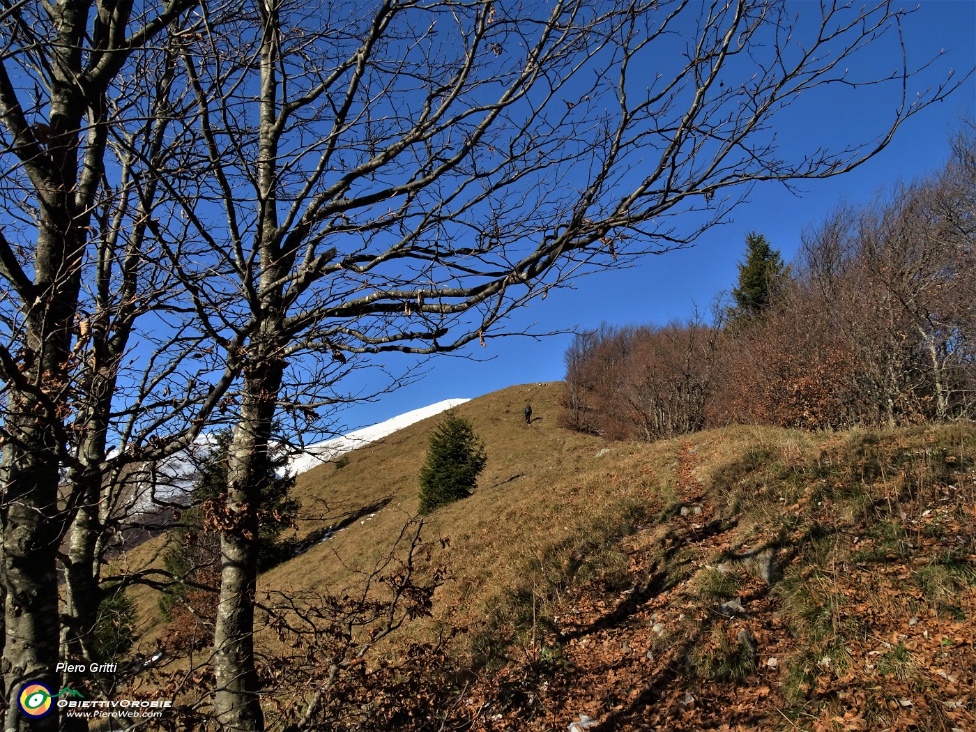 25 Prendiamo a dx sentierino  variante in cresta del sent. 101 per cima Baciamorti.JPG